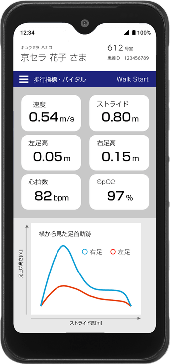 歩行解析システム