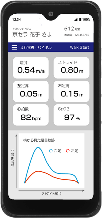 歩行解析システム