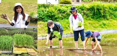 ＜参加募集中＞オーガニック農場で田植え&宿泊　 善玉菌リトリート施設のオープニングイベントも