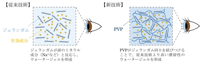 図1 “涙”と反応した際のジェランガムとPVPの相互作用 (イメージ)