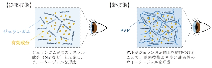 図1 “涙”と反応した際のジェランガムとPVPの相互作用 (イメージ)