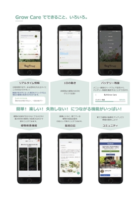 ベジトラググローケア 使い方2