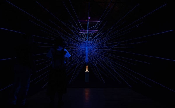 作品名：「in the mist」六甲高山植物園