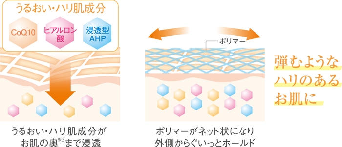 弾むようなハリのあるお肌に