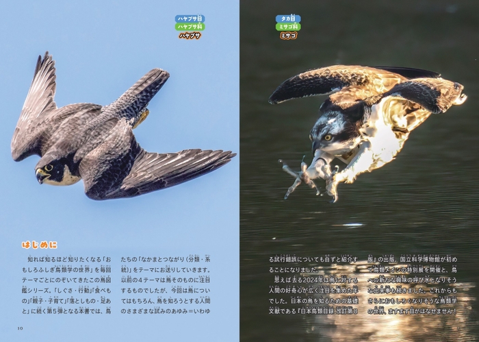 『鳥のなかま＆分類・系統図鑑』はじめに