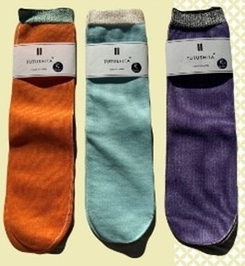 摂南大学　【経営学部 坂元研究室】