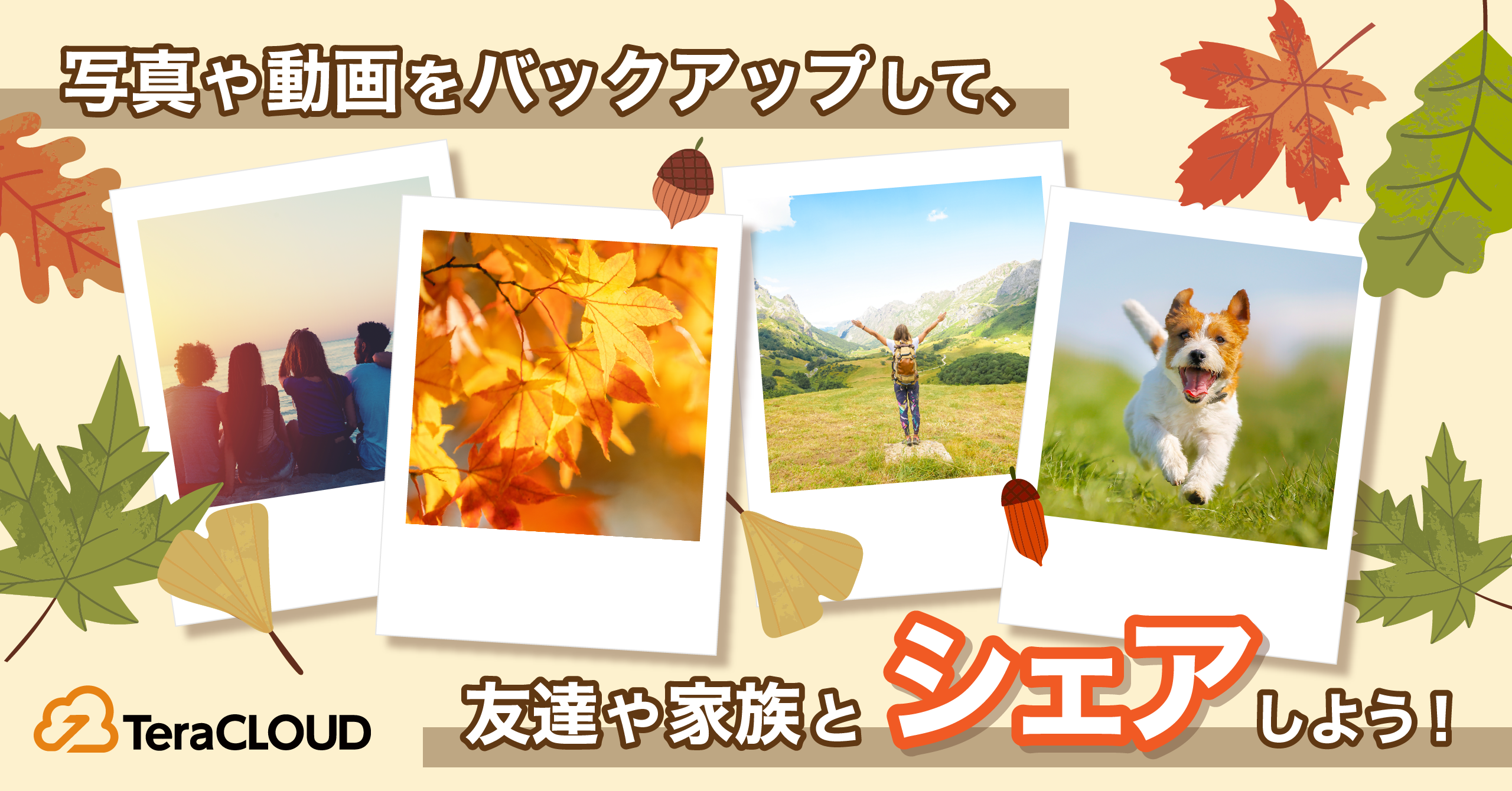 写真?も動画?も、たっぷりまとめて「TeraCLOUD」でシェアしよ?