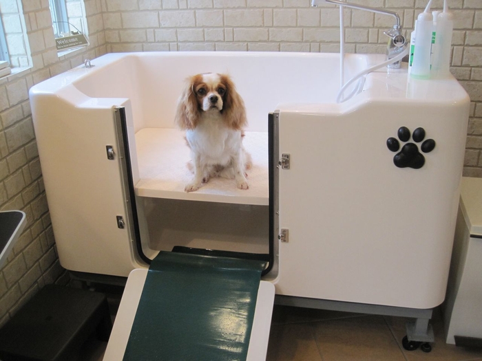 ドア付きで出入りが簡単 ふわわんシンプルバス