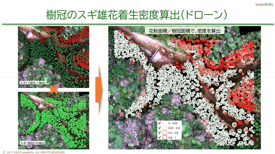 ドローンによる花粉雄花着生レベルの算定