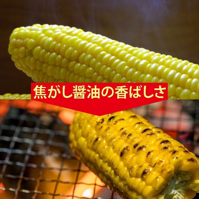 レンチンでも焼きの風味に