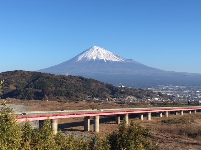 富士川サービスエリアから見える富士山