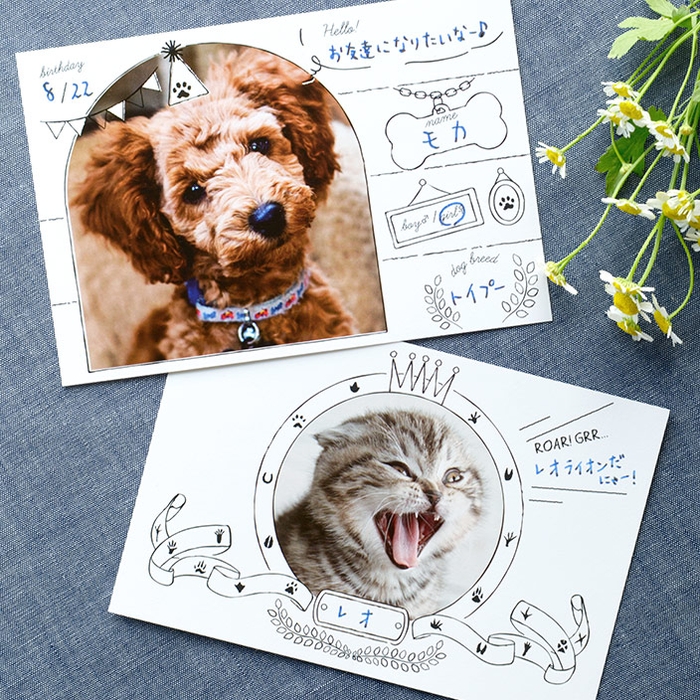 犬猫オーナー集合！30枚セット500円の『TOLOT Card』 ポストカードサイズの“ペット名刺”テンプレート登場