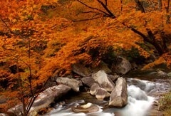 秋の昇仙峡「遊歩道」紅葉スポット