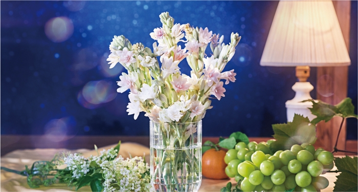 香味イメージ:シルキーフローラルミント