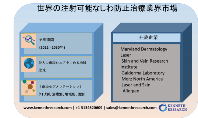 世界の注射可能なしわ防止治療業界市場調査―世界的な需要の分析及び機会展望2030年