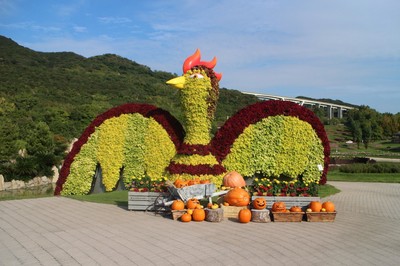 「淡路島 国営明石海峡公園」の「立体花壇『タコトピアリー・花火鳥』」（秋のメイン植物であるコリウスの見ごろ：9月中旬～11月上旬）　ハロウィン装飾は10月中のみ。　©淡路島 国営明石海峡公園