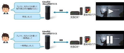 光BOX＋(HB-2000)のAmazon Echo対応について ～スマートスピーカーから音声で光BOX＋を操作～