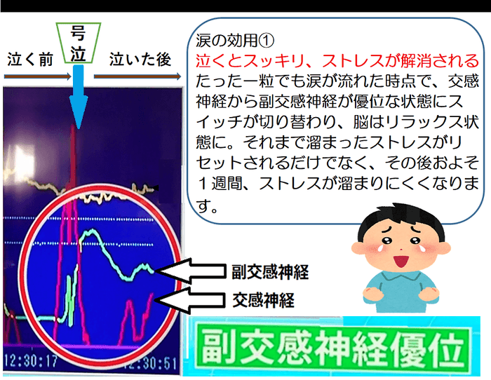 自律神経が副交感神経が優位な状態に。一粒の涙を流すだけで一週間ストレス解消効果が持続。