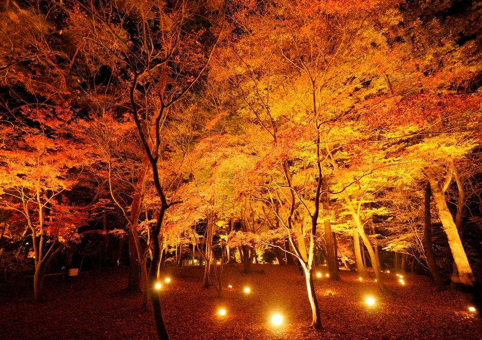 月の石もみじ公園 イメージ