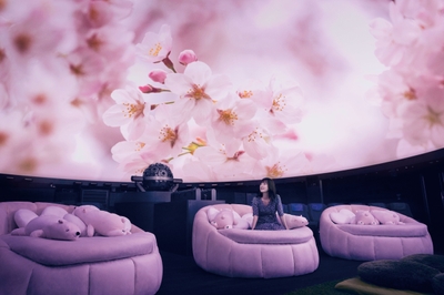 プラネタリウム満天(池袋) 桜タイトル無し