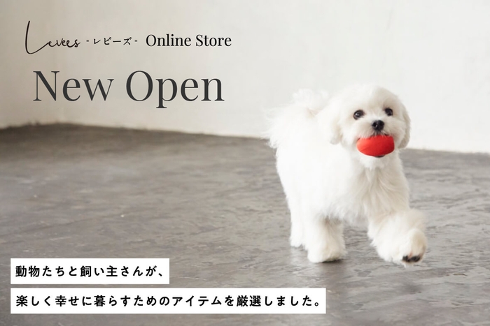 Levees Online Store