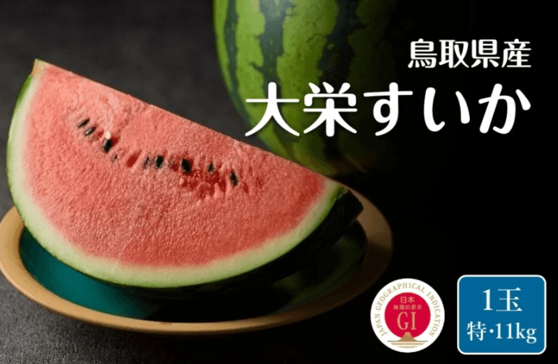 鳥取県産　大栄西瓜 