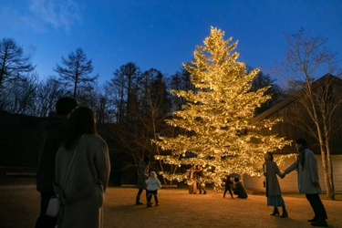 【軽井沢星野エリア】高さ10mのもみの木のクリスマスツリーで街を彩る「軽井沢星野エリアのクリスマス2022」を開催 ～幸せの象徴「やどりぎ」を模したイルミネーションも点灯～ ｜期間：2022年11月27日～12月25日