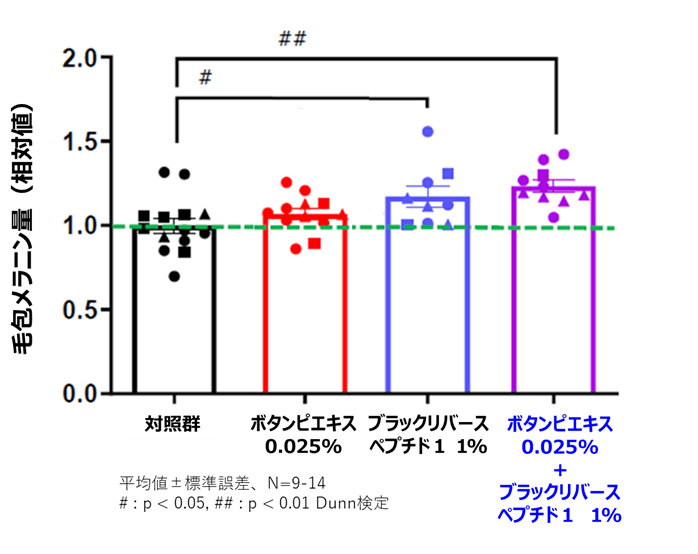 図1.毛包におけるメラニン量への影響