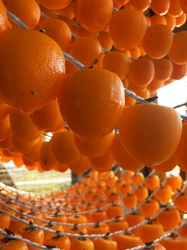 福島県・伊達市が誇る“あんぽ柿”103年の歴史が紡ぐ 至福のスイーツ登場　 1月22日(木)～続いて、新作続々登場2月末(なくなり次第終了)