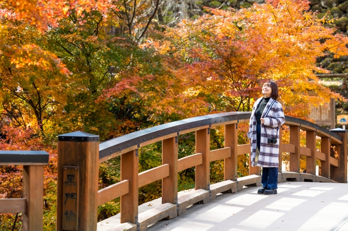 小諸城址懐古園 黒門橋