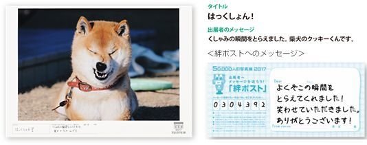 『絆ポスト』を各会場に設定