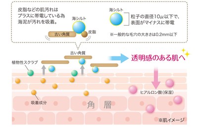 (1)こだわり成分の働き