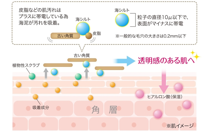 (1)こだわり成分の働き