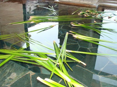 2013年5月26日(日)「お風呂の日-菖蒲の湯」開催