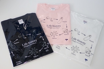 Tシャツ(ライフヒストリー) 3,000円(税込)
