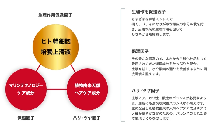 セルヘアプラス3D理論