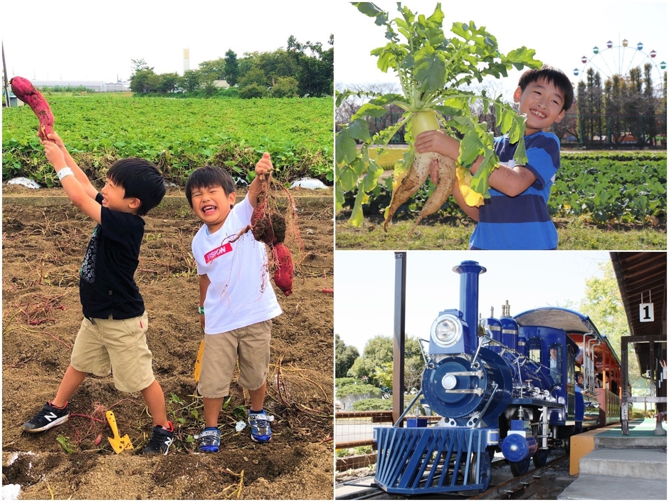 遊園地と収穫体験が1日で楽しめるむさしの村