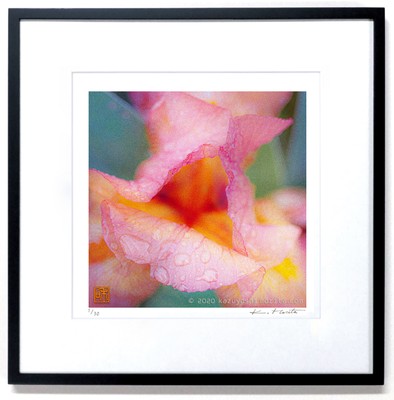 PhotoGraphic 作品45cm角 額装付き