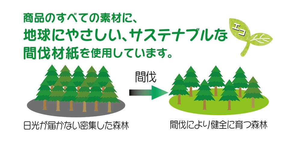 サステナブル素材の間伐材紙