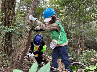 2026年4月 兵庫県にて「六甲山の森づくり」開催決定