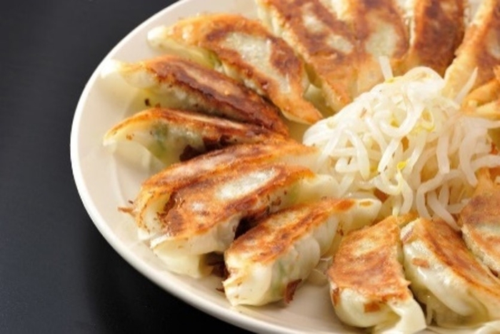 静岡県の野菜たっぷり 浜松餃子(餃子の村長)15ケ入×4パック