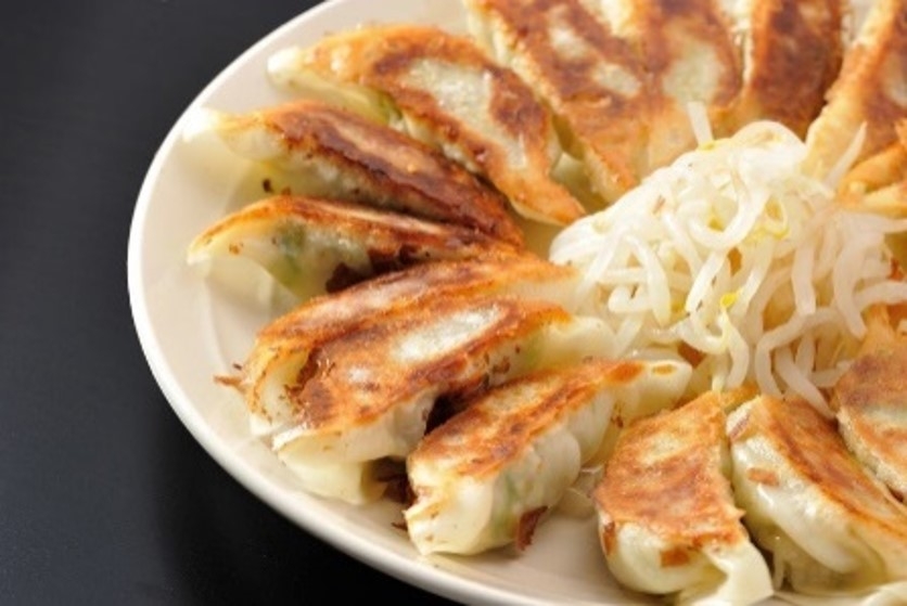 静岡県の野菜たっぷり 浜松餃子(餃子の村長)15ケ入×4パック