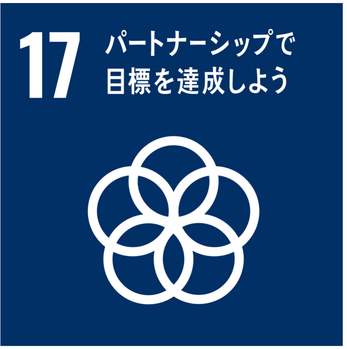 SDGsのゴール:17