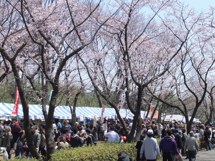 尾根緑道