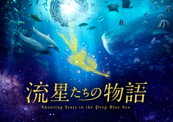 おうちで本格的にプラネタリウム作品鑑賞 「流星たちの物語」8月20日(木)よりDMM VR動画で販売！ YouTubeにて冒頭6分を無料公開