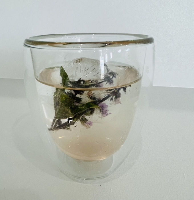 夏限定!アイスホーリーバジルコーディアル