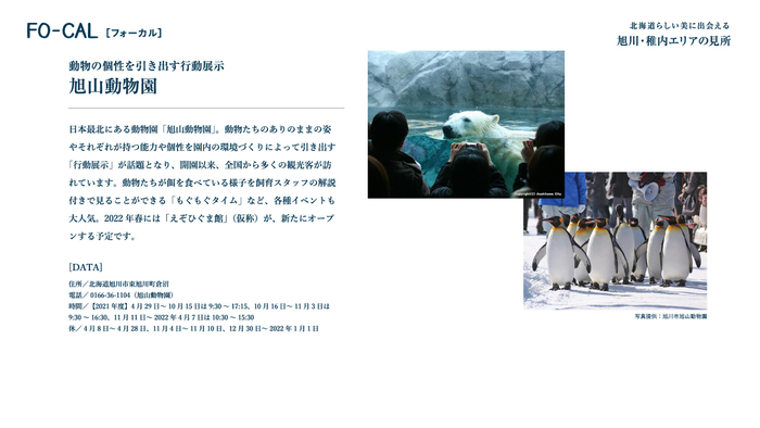 「旅色FO-CAL」北海道特集　旭山動物園