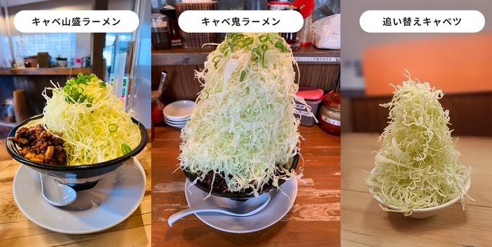 追い替えキャベツ 提供開始