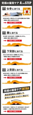 猫背ケアプログラム