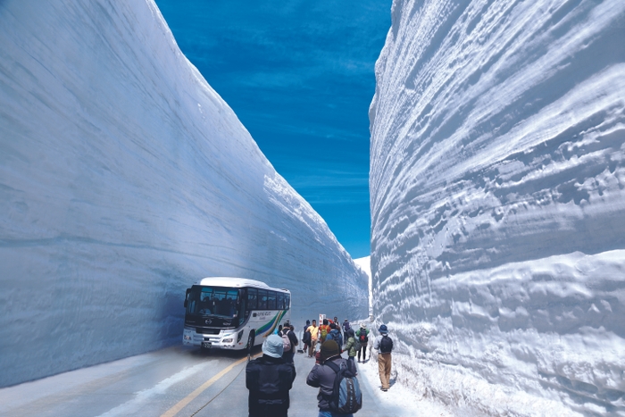 雪の大谷ウォークの様子